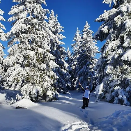 Czarna Gora Apartament Ischgl 18