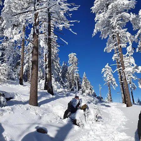 아파트 Czarna Gora Ischgl 18 *