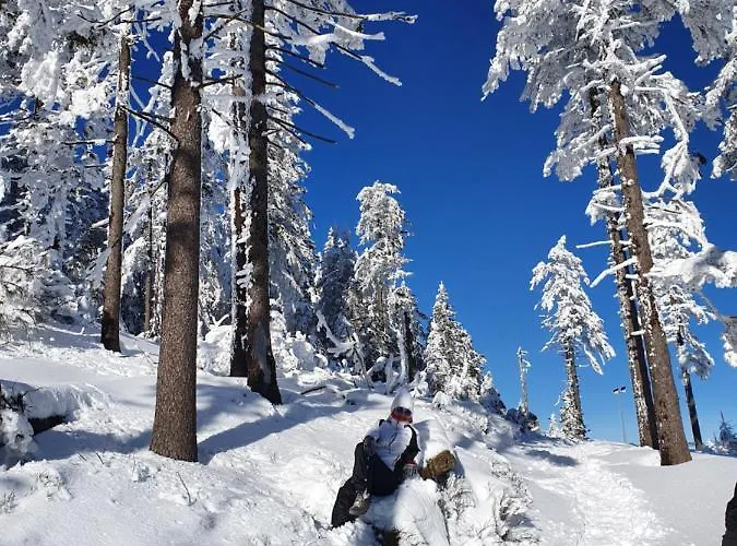 Apartment Czarna Gora Ischgl 18 *